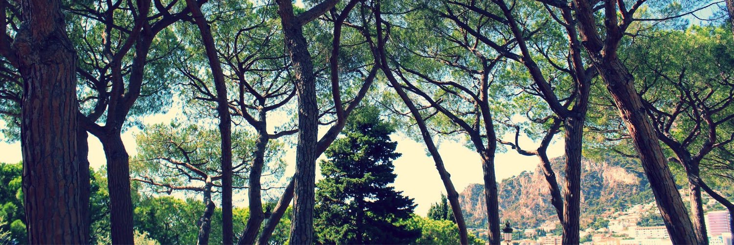 mattyp5's profile banner image