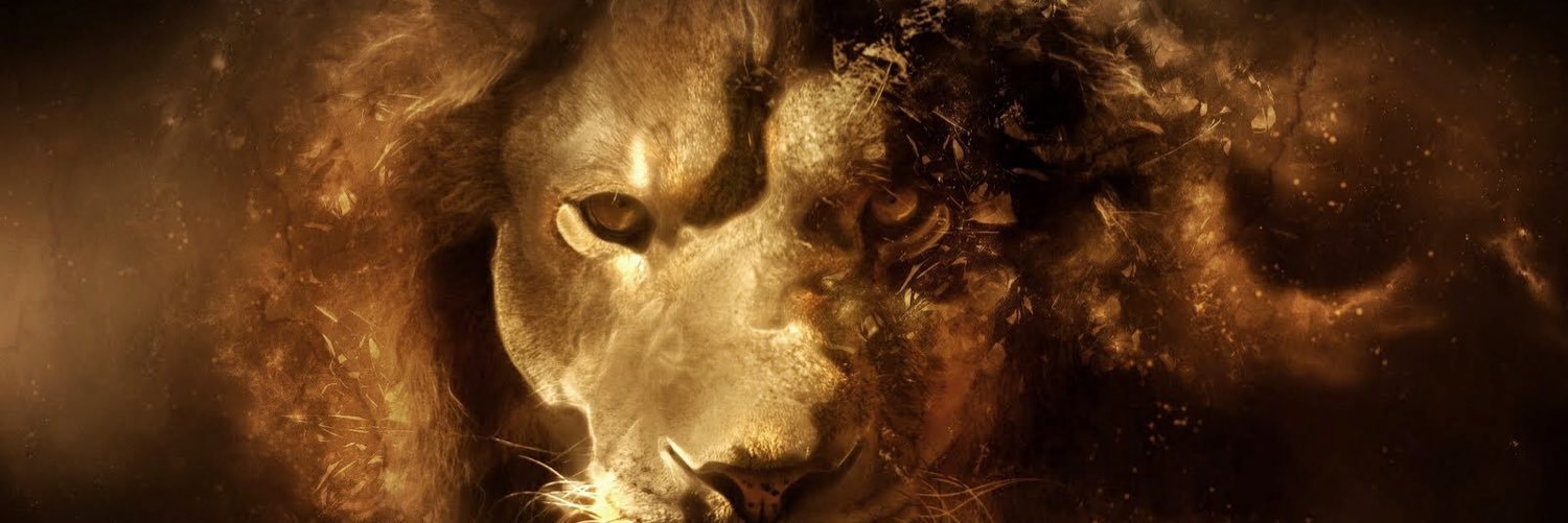 lio_gallegos's profile banner image