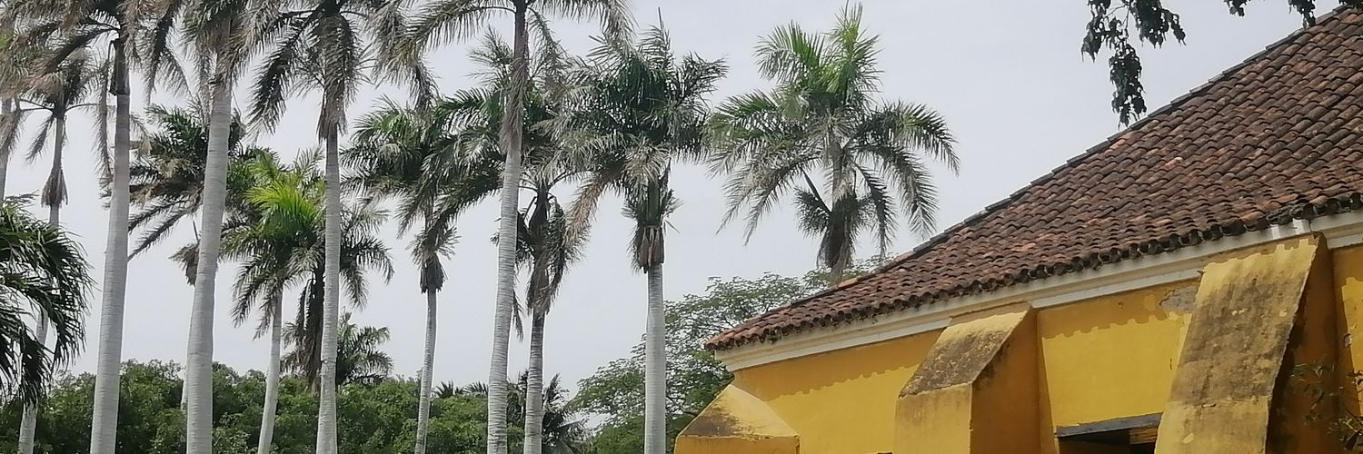 Indira Portocarrero banner