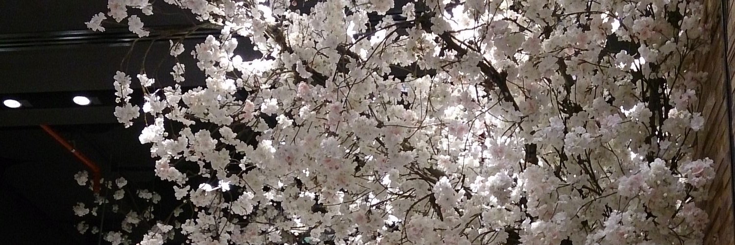 miss_Eman8's profile banner image
