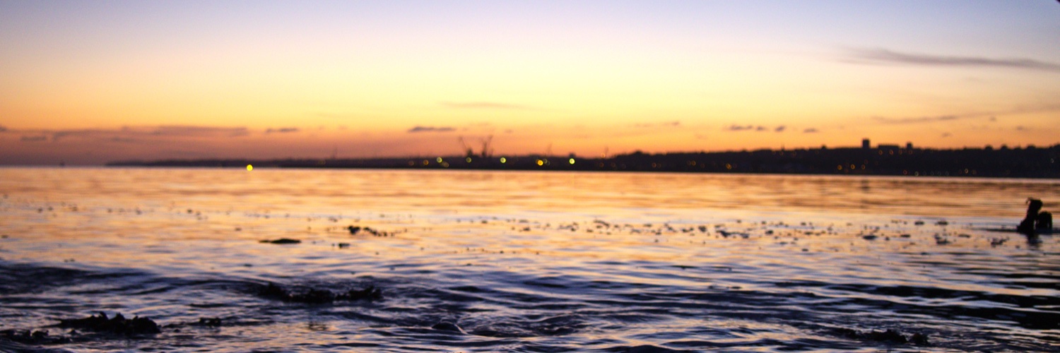 lo 🎇 banner