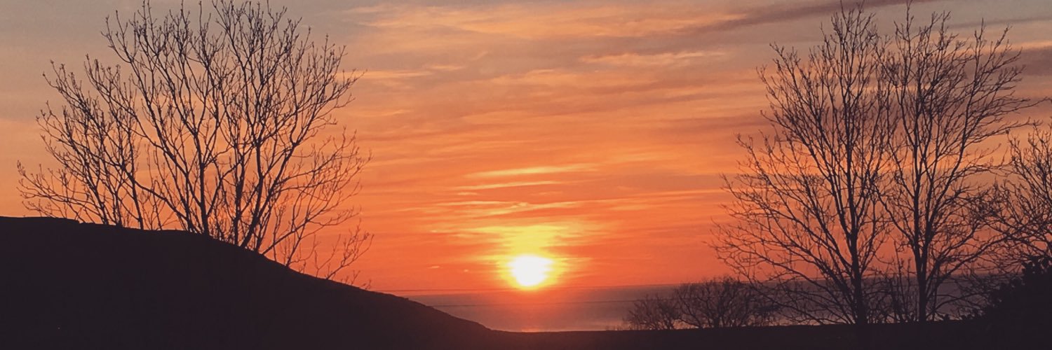 LauraEllenS's profile banner image