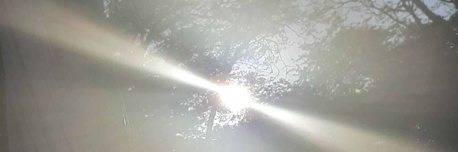 NoelStew's profile banner image