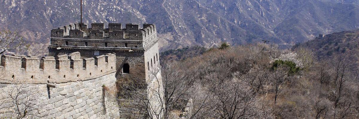 401188Huang's profile banner image