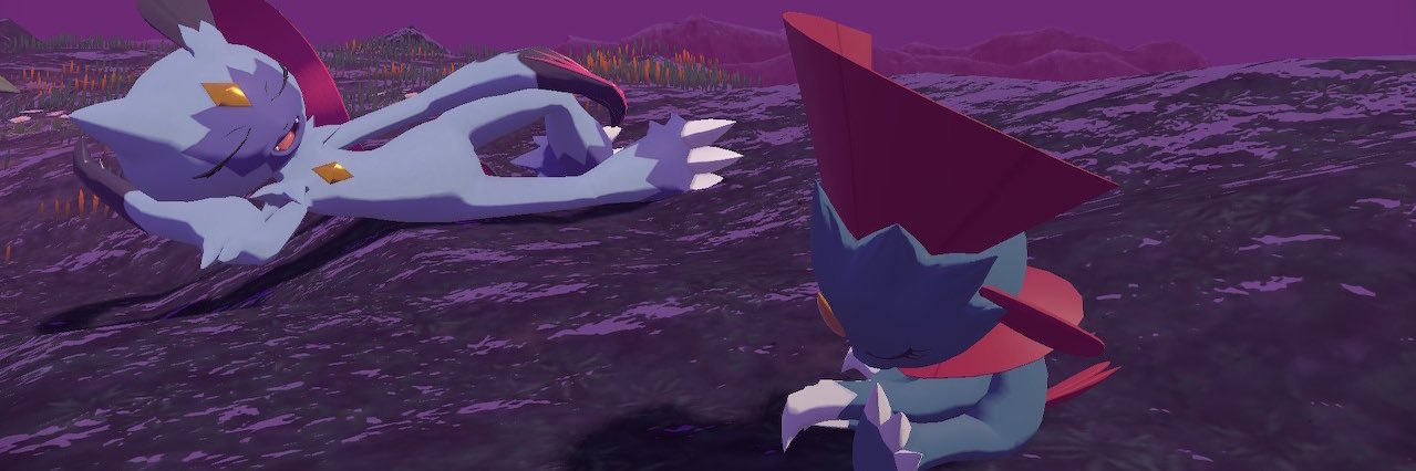 DadeCountyJosh's profile banner image