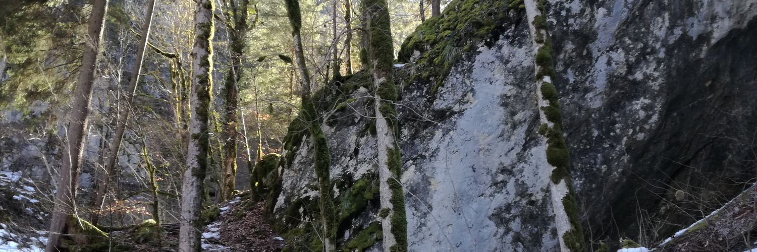 Protontyp's profile banner image