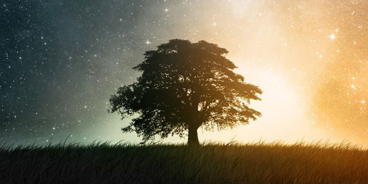 AI脱衣一键去除 banner