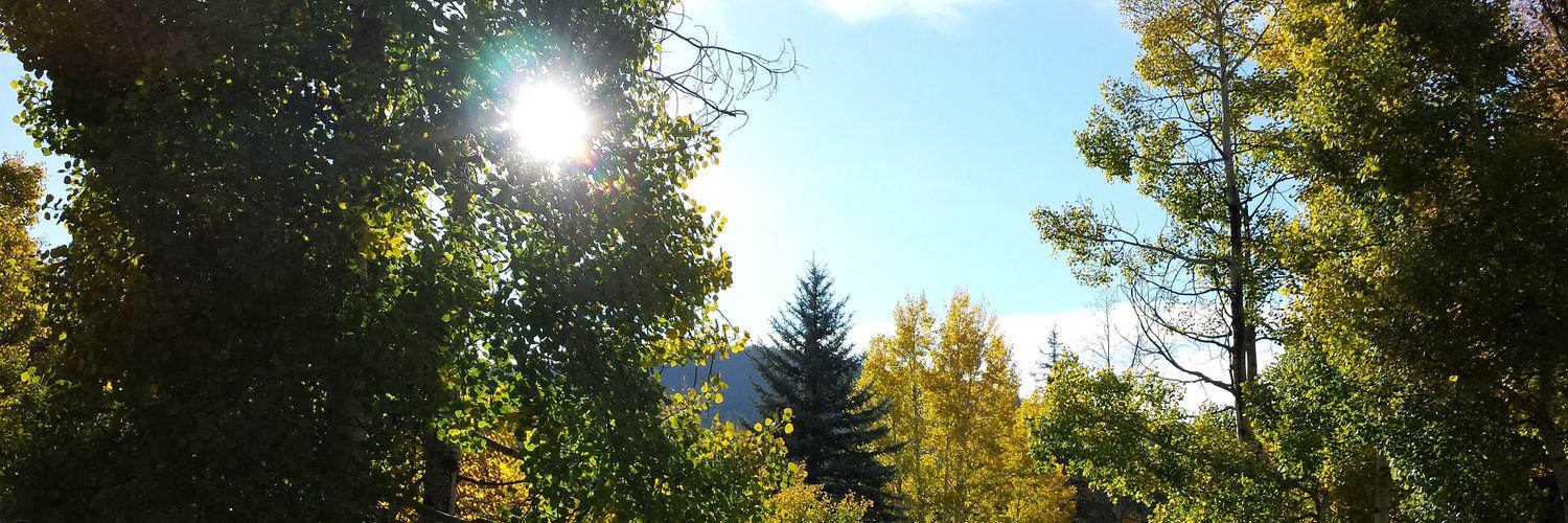 Jason_Frederick's profile banner image