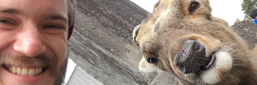 DavidUgle's profile banner image
