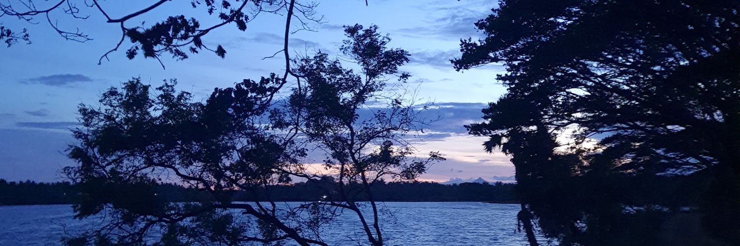 ananyeet's profile banner image