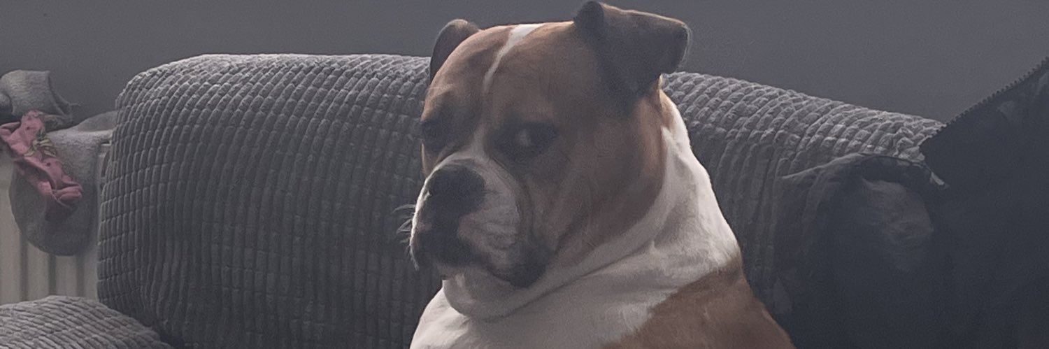 EllieeJS's profile banner image