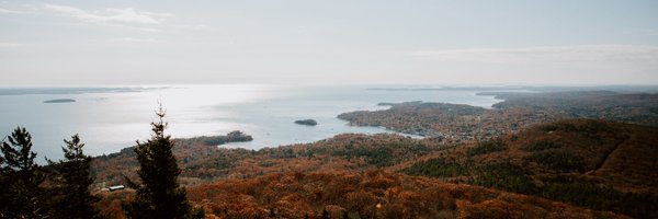 hello_margot Profile Banner