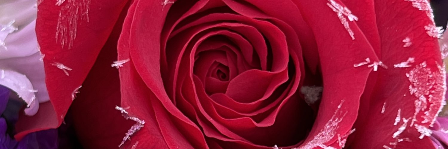 StagesInBetween's profile banner image