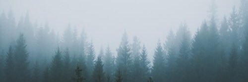 SCARLETSWlDOW's profile banner image