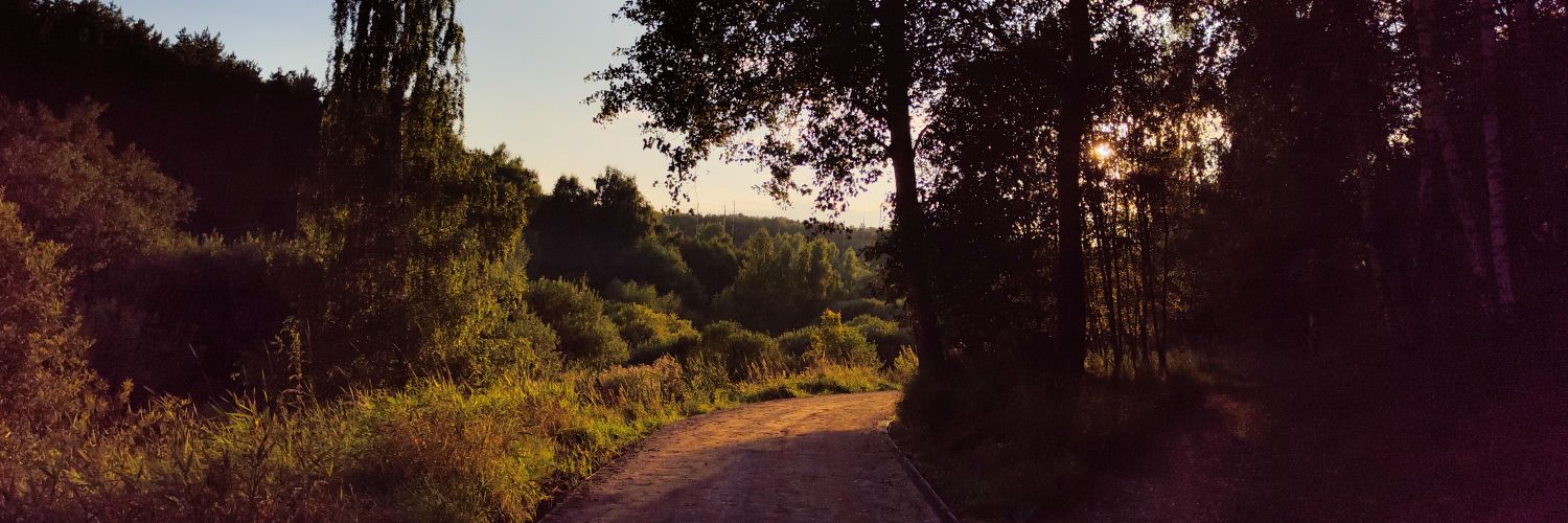 kovichjulia's profile banner image