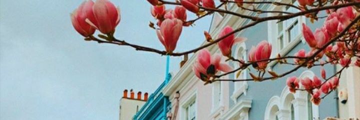 CardozoRomiina's profile banner image