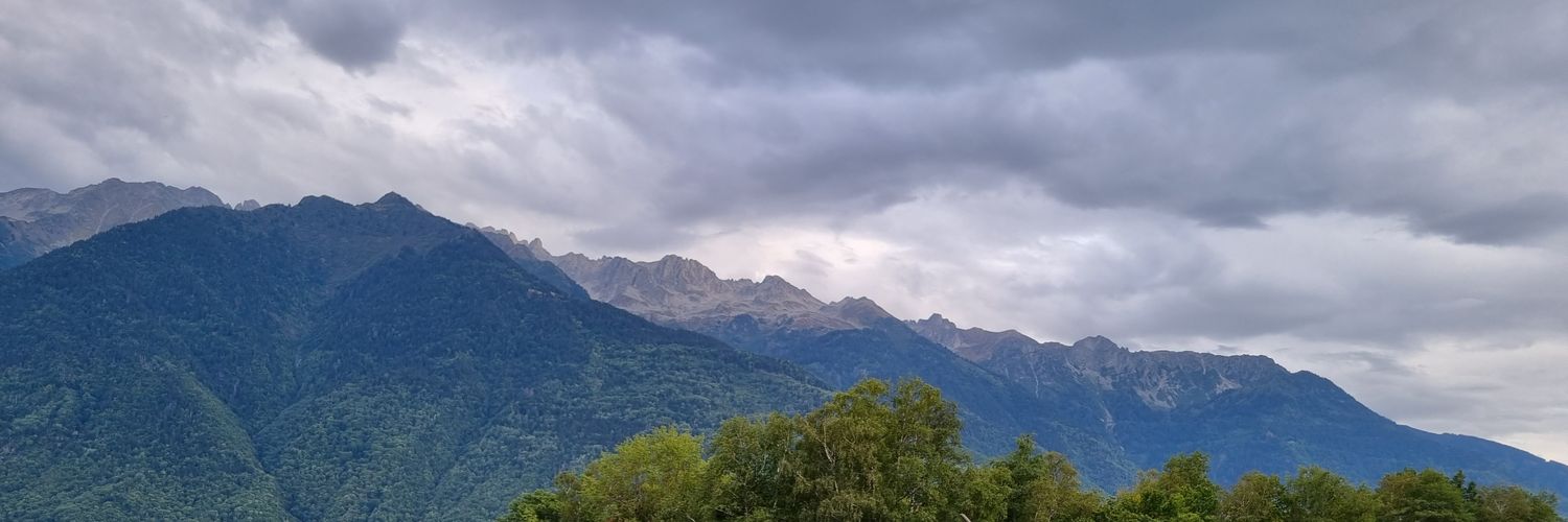 lolobosco's profile banner image
