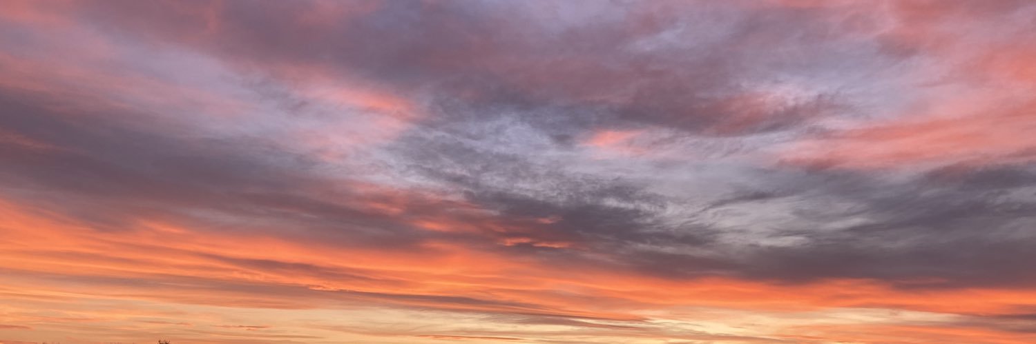 molly_lear's profile banner image