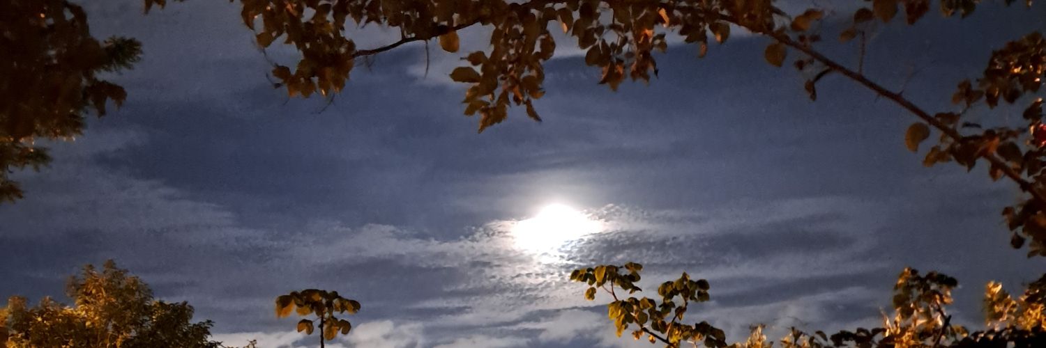 Dlia016's profile banner image