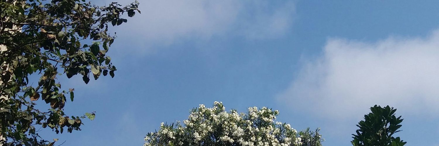 aaaqqq____'s profile banner image
