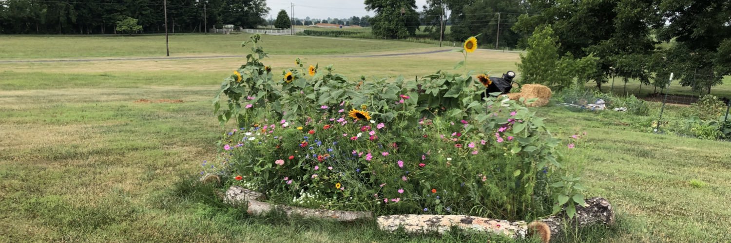 Kentucky Memaw banner
