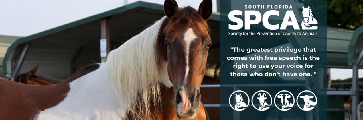 South Florida SPCA banner