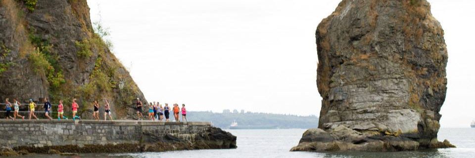 kimmerbajimmer's profile banner image
