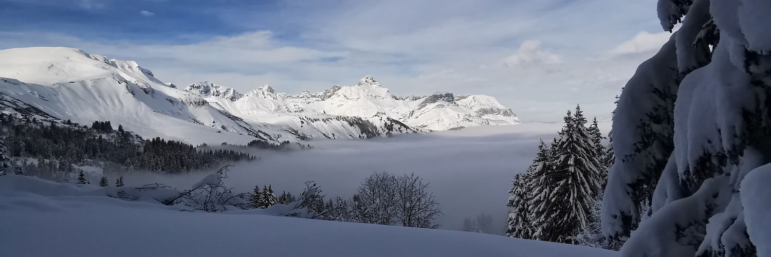 AdjaGaulard's profile banner image