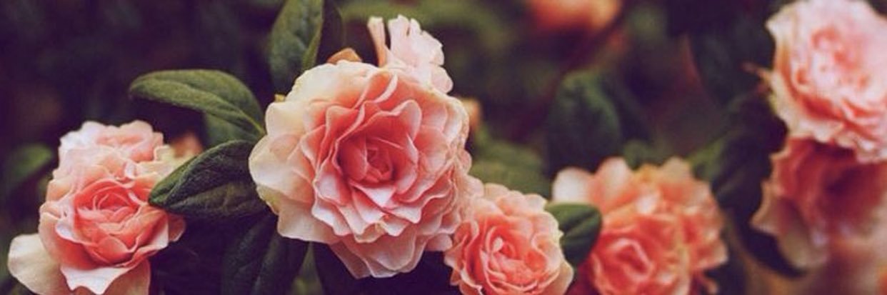 skylarshayne's profile banner image
