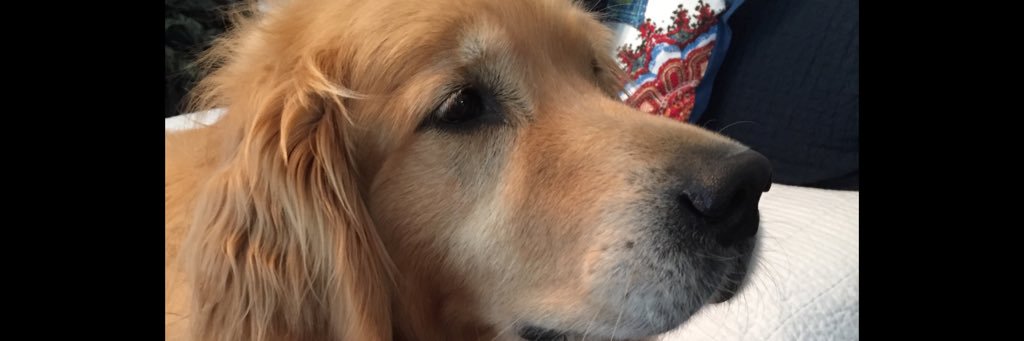 chuckrunner29's profile banner image