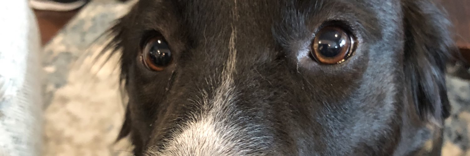 BrianLaden's profile banner image