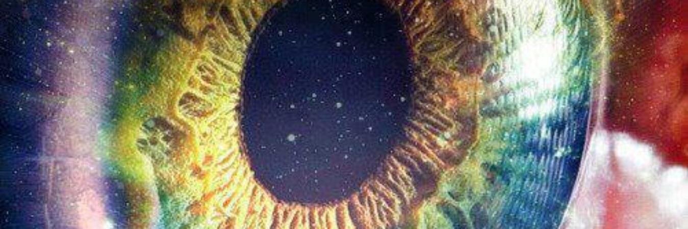 tripongo's profile banner image