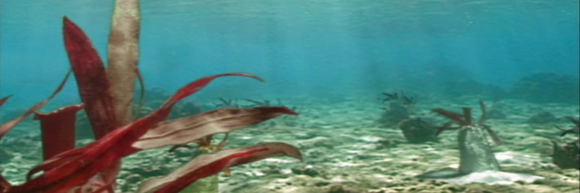 Chris Mckenzie banner