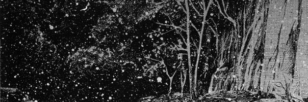 dunpir's profile banner image