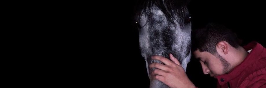 SebastianBravo0's profile banner image
