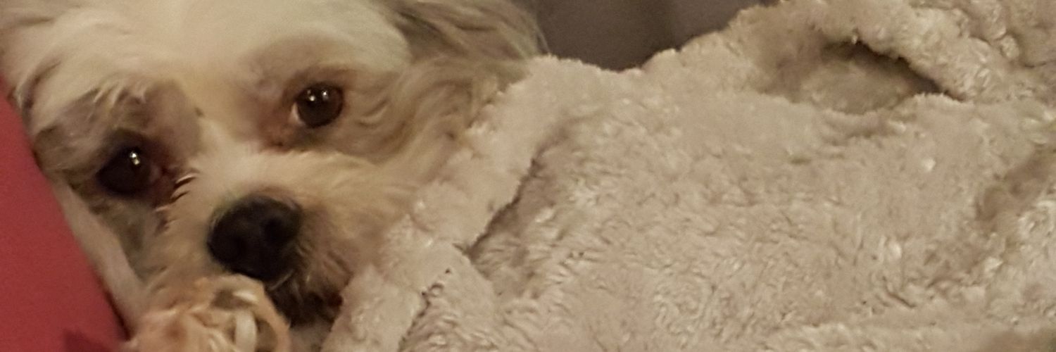 floydthedog's profile banner image
