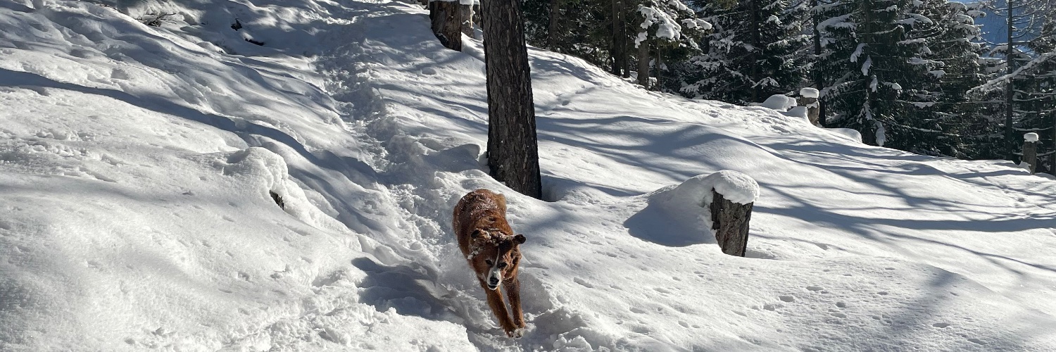 Claudio Beffa banner