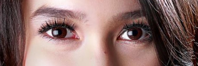 anjaniersID's profile banner image