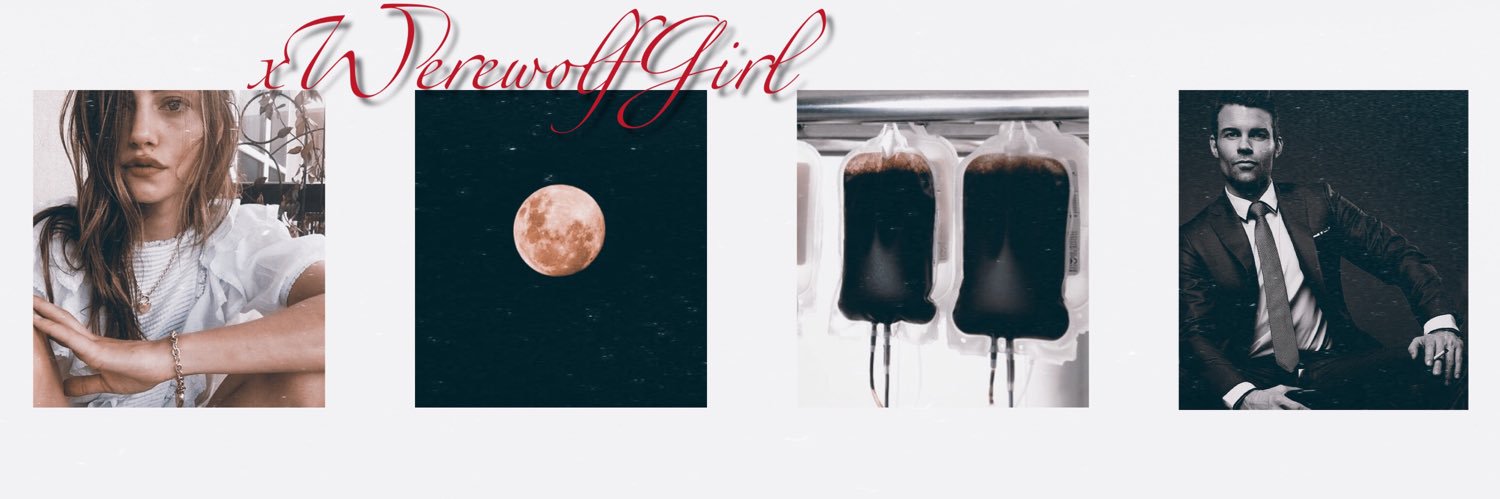 xWerewolfGirl's profile banner image