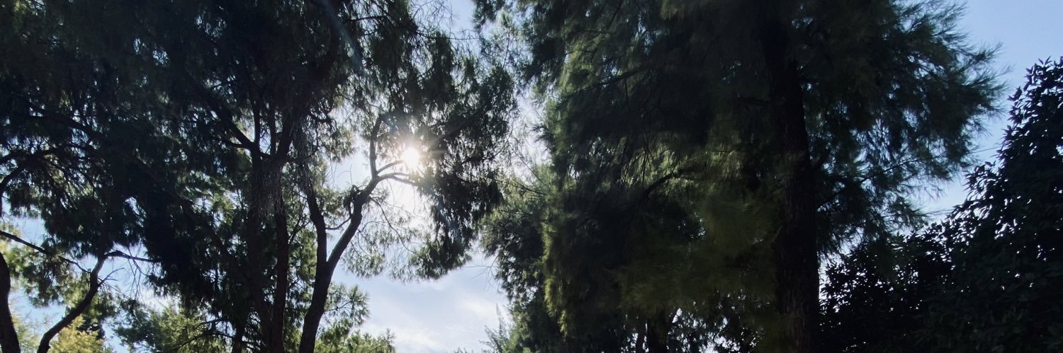 MerveSaray07's profile banner image
