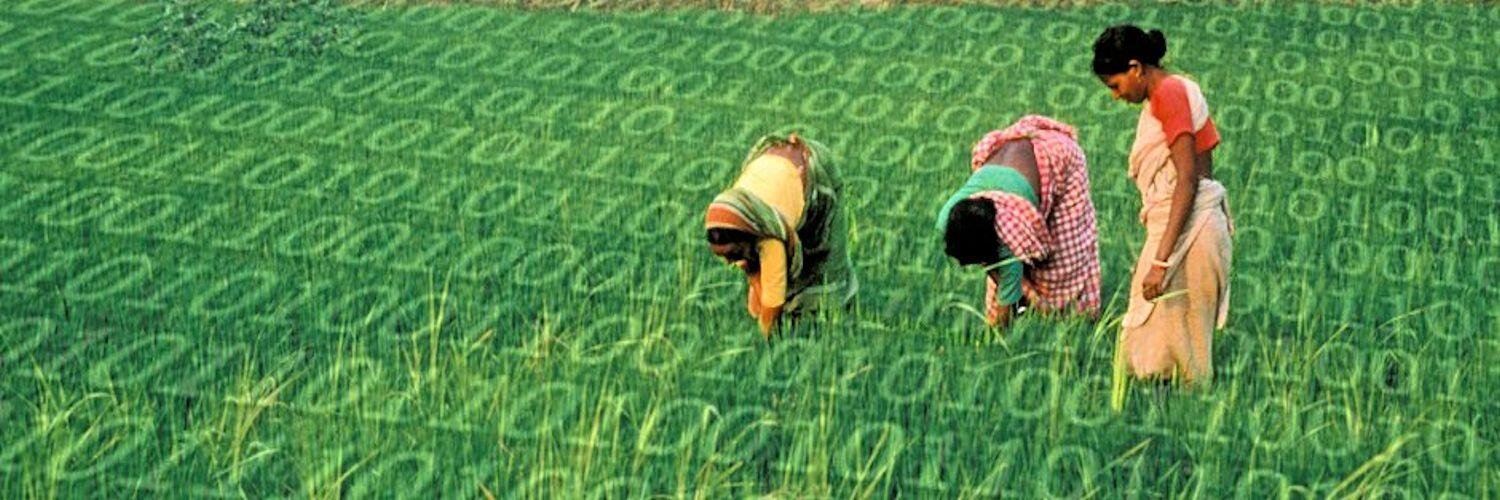 Open Data Watch banner