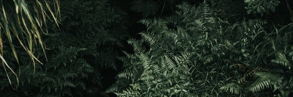 drmeilingdoery Profile Banner