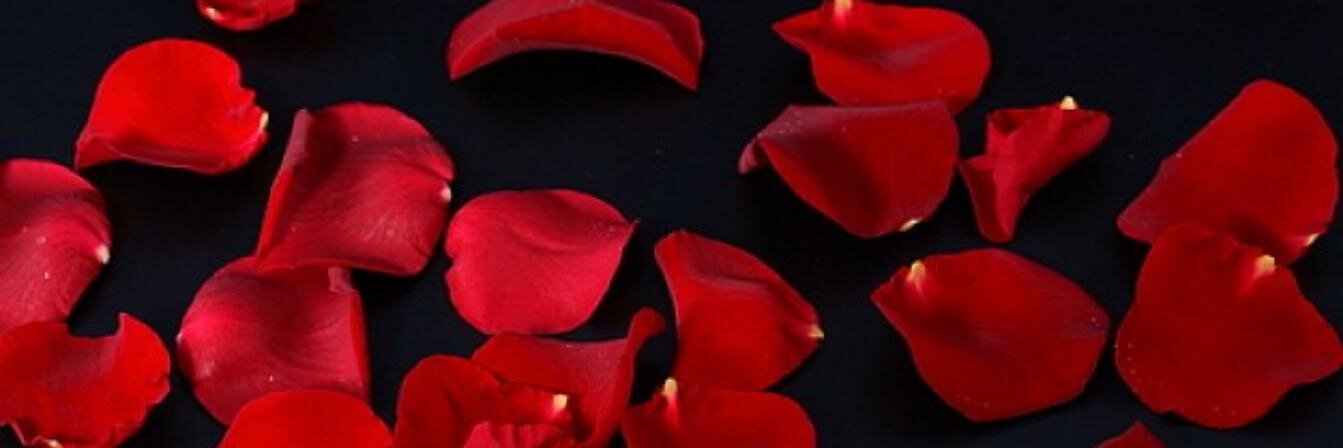 MoonHAh87's profile banner image