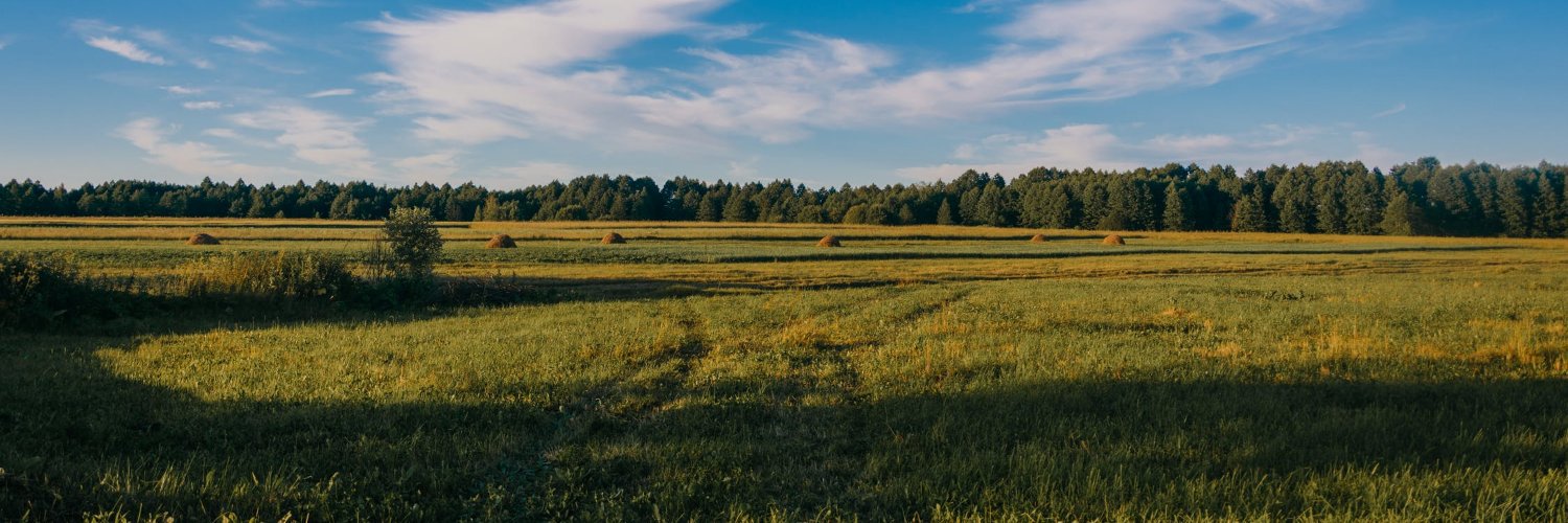 kurtzauction's profile banner image
