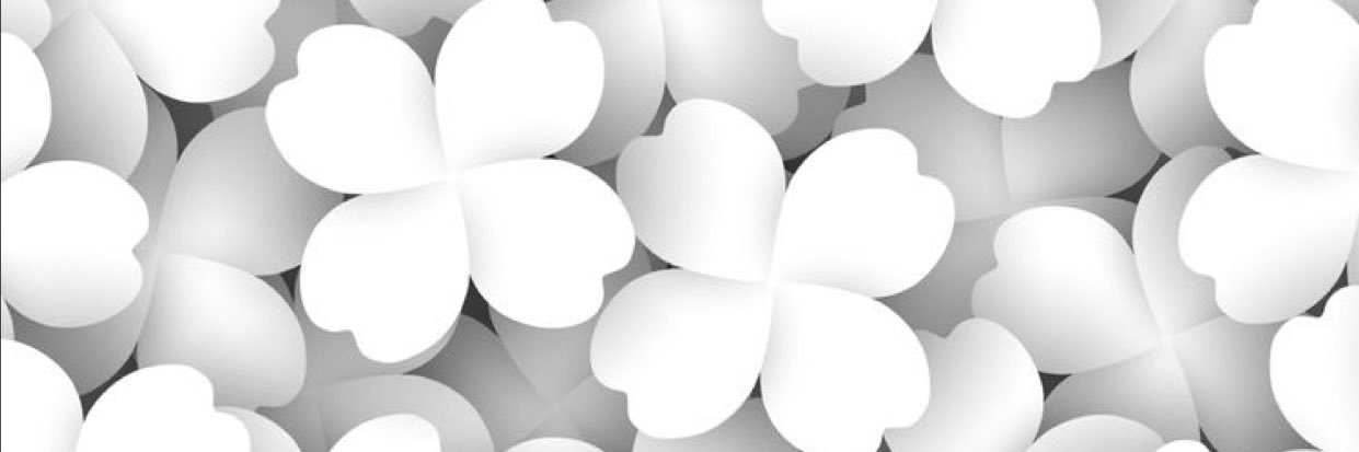 LoveeBeauty's profile banner image
