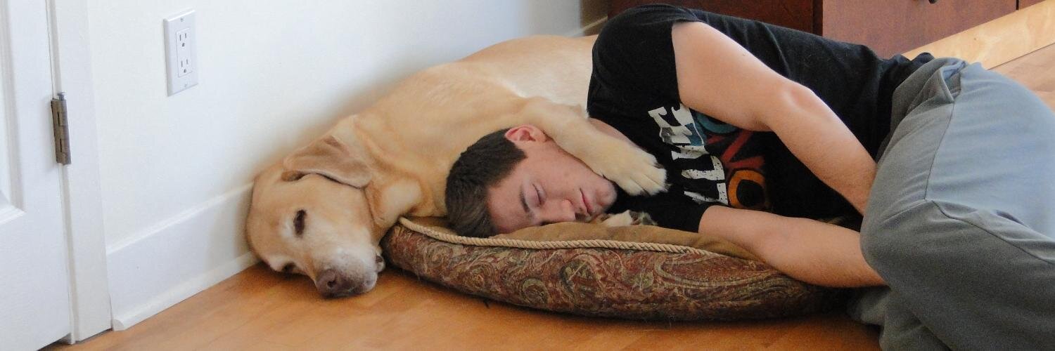 bissonsamuel's profile banner image