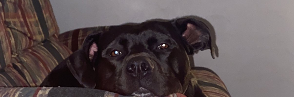 Wizzy__West's profile banner image