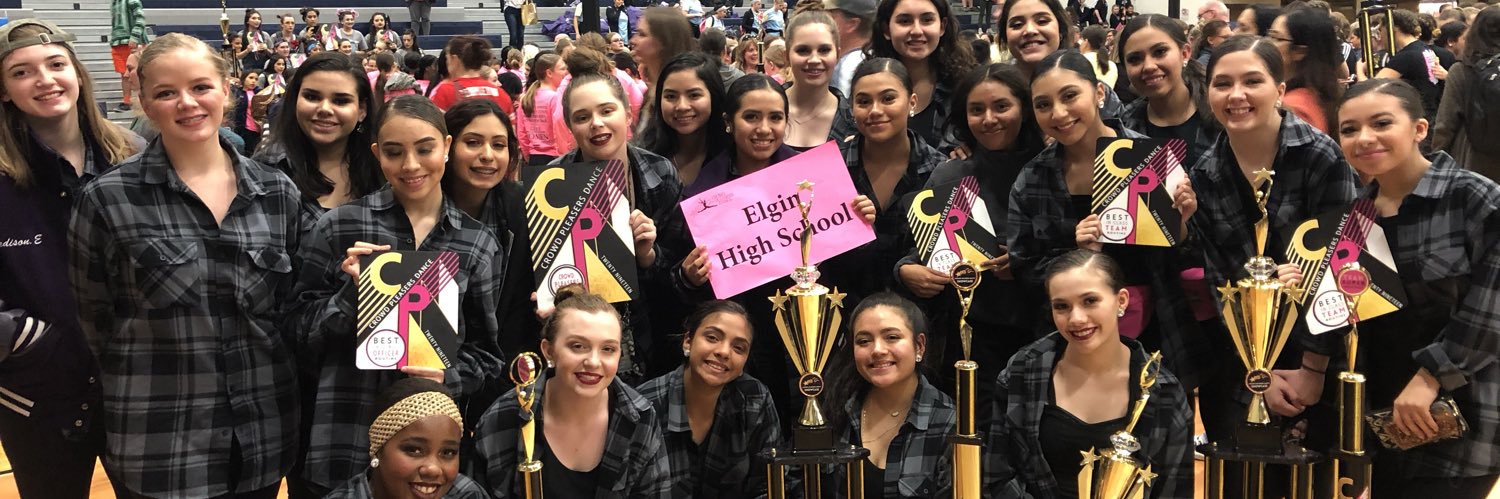 EHS Purple Diamonds banner