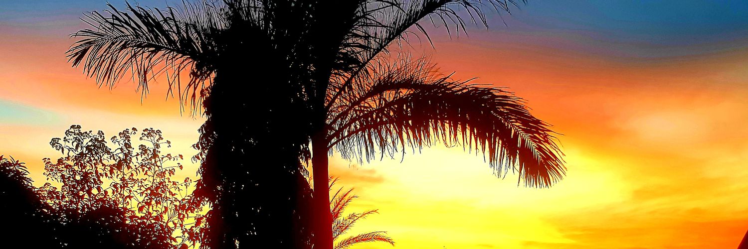 Achi Emmanuel Nkom banner