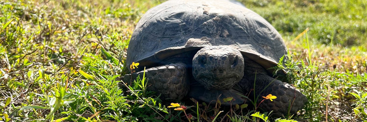 stephanie plucinsky pinder banner